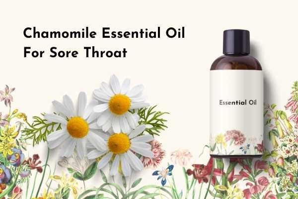 Chamomile Essential Oil for Sore Throat