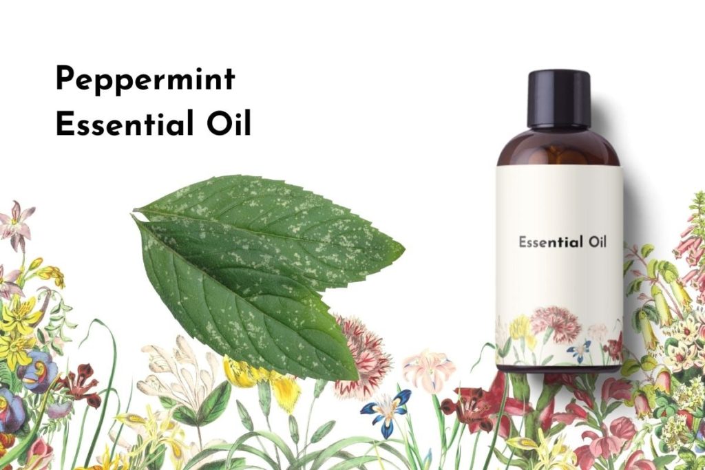 Peppermint Essential Oil