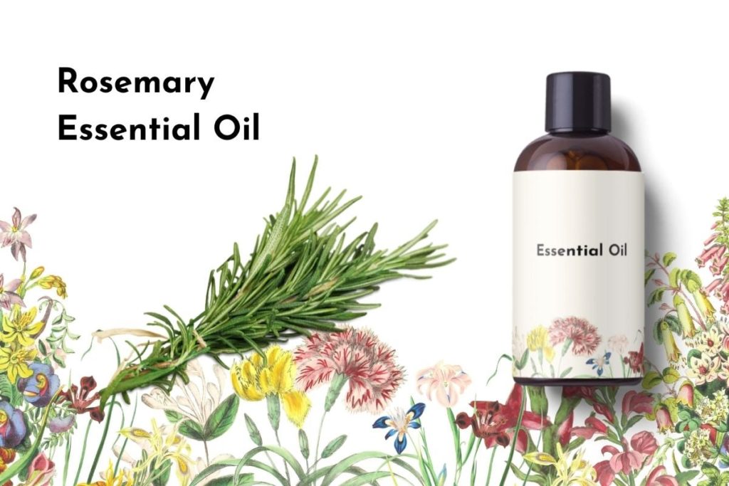 Rosemary Essential Oil